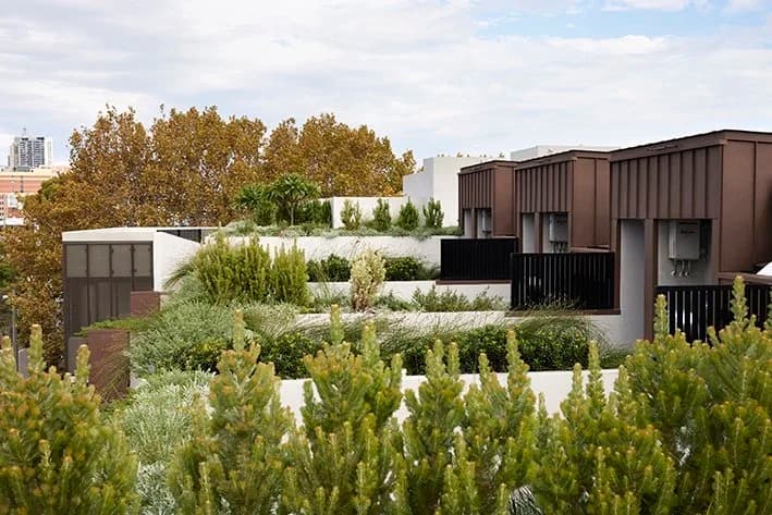 Paragon of Pyrmont gallery 20